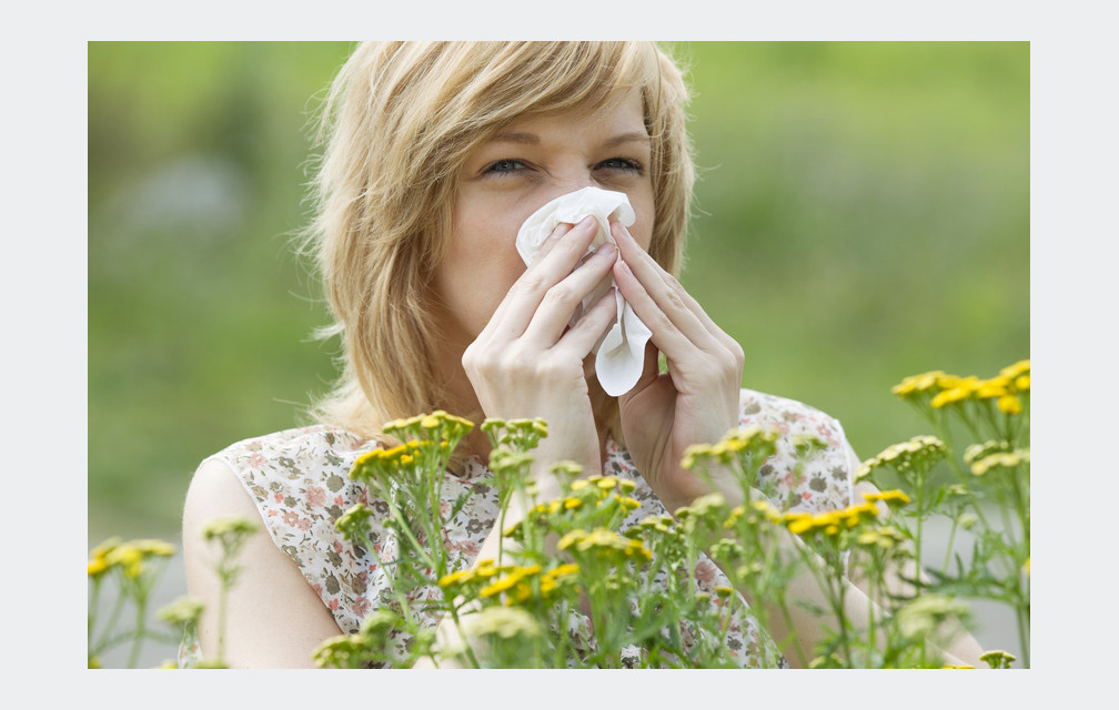 Pollens : le retour