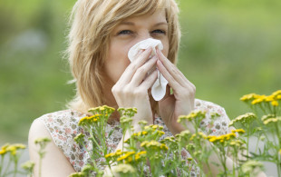 Pollens : le retour