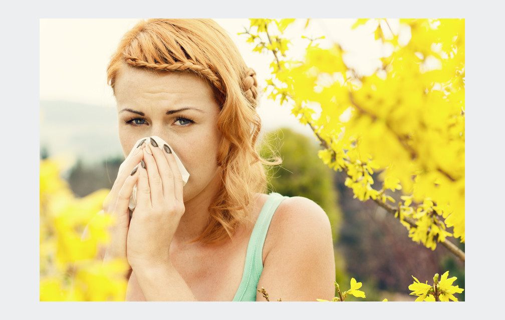 Allergies aux pollens: quelques conseils pour vos patients