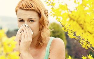 Allergies aux pollens: quelques conseils pour vos patients