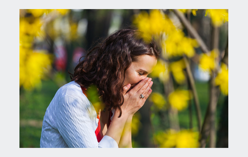 Allergies : connaître ses ennemis