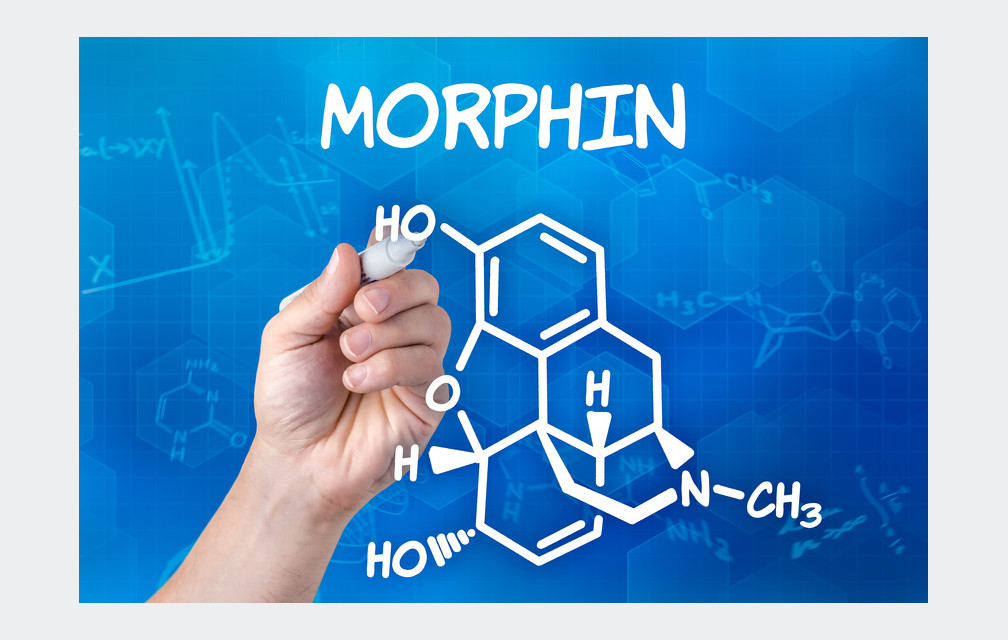 La morphine bientôt remplacée par un médicament sans effets secondaires ?