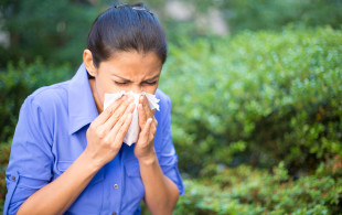 Allergies : les gestes qui limitent les risques