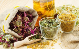 5 plantes médicinales pour renforcer l’immunité