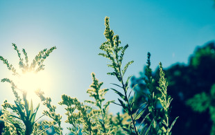 Canicule : quelques conseils pour vos patients !