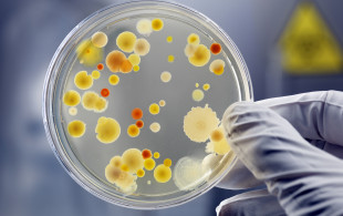 Une bactérie résistante aux antibiotiques se répand en Europe